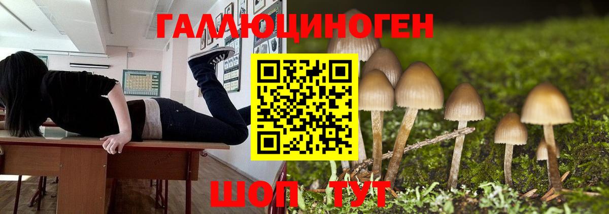 ГАШ  МАРИХУАНА  MDMA  МЕФ   Вход с VPN  Новочебоксарск  ГАШИШ  Cocaine  Героин  Меф 