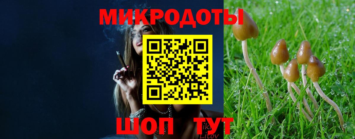 Галлюциногенные грибы MAGIC MUSHROOMS  Вход с VPN  Галлюциногенные грибы прущие грибы  Новочебоксарск 